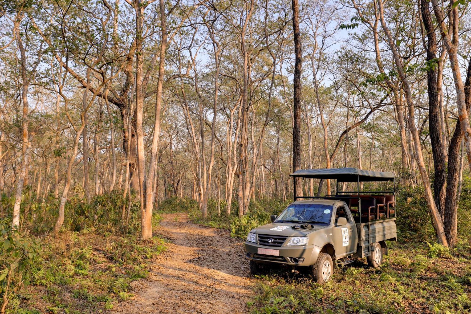Tigerland Safari - A Lemon Tree Resort, Chitwan, Nepal Patlahara Exteriér fotografie